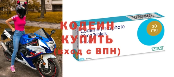 крисы Бородино