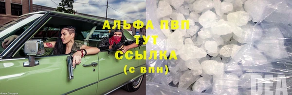 молекула духа Белоозёрский