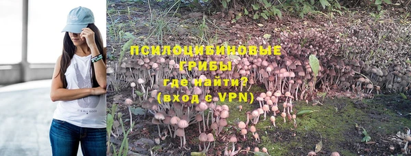 прущие крисы Бугульма