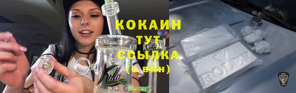 крисы Бородино