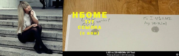 крисы Бородино