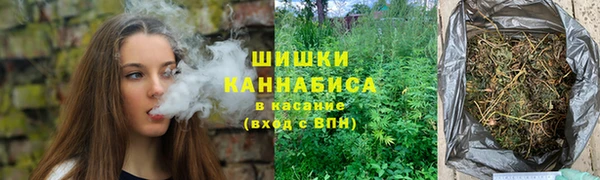 крисы Бородино